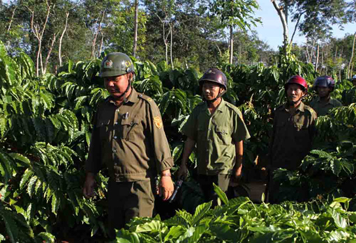 Hiệu quả từ tổ dân phòng bảo vệ cà phê ảnh 1